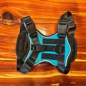 Turquoiseand Black Dog Harness